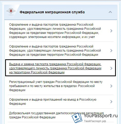 Сколько Фото На Смену Паспорта