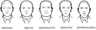 Внешность человека криминалистика. Форма лица габитоскопия. Форма головы словесный портрет. Шея криминалистика.